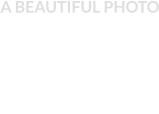 A BEAUTIFUL PHOTO
